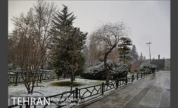 بارش برف در شمال تهران 2