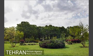 بوستان پلیس 33