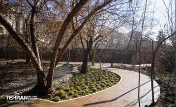 باغ گلاریس 23