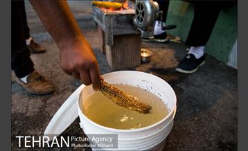 شیر بلال تابستان 9