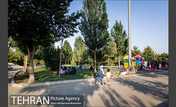 شهرنگار؛ بوستان قائم 11