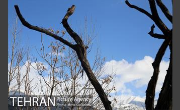 هوای پاک تهران 12