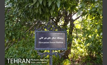 باغ گیاه شناسی ملی ایران  8