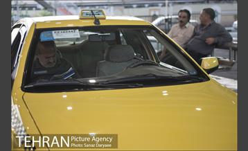 میدان شقایق‎ 11