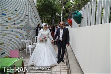 جشن ازدواج دو کارتن خواب بهبود یافته 4