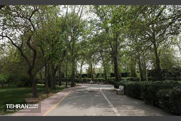 بوستان بانوان نرگس 29
