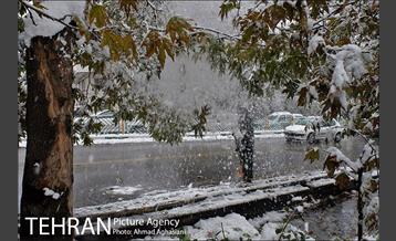 بارش اولین برف پاییزی در تهران 35