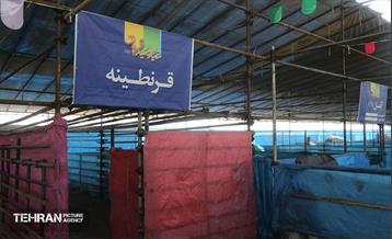 عرضه دام زنده بهداشتی ویژه روز عرفه و عید قربان 16