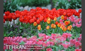 باغ ایراتی (بوستان مهندس مختاری) 10