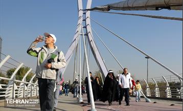 همایش‌ پیاده‌روی خانوادگی کارکنان شهرداری تهران 18