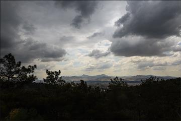 بوستان جنگلی لویزان 26
