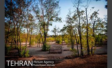 بوستان جنگلی چیتگر 29