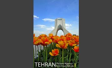 رویش گل های لاله در میدان آزادی 4