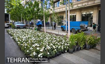 گلکاری در خیابان ولیعصر 10