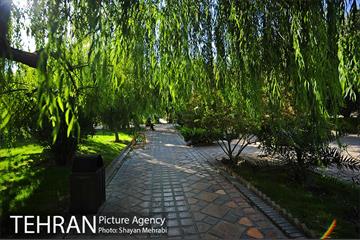 بوستان هنرمندان (ایرانشهر) 11