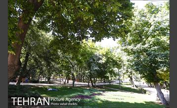 بوستان قیطریه 16