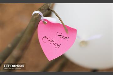 غرس ۲۷۸۲ نهال در سرخه‌حصار به یاد درگذشتگان جامعه پزشکی 1