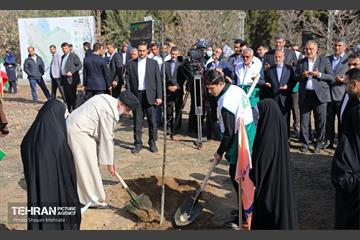 نکوداشت روز درخت‌کاری با حضور رئیس جمهور