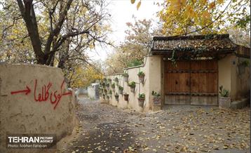 طبیعت پاییزی کوچه باغ‌های محله کن 4