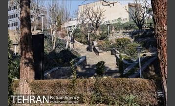 پارک ساعی 16