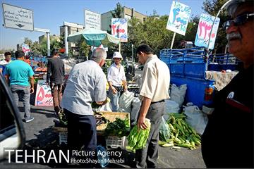 میوه فروشان خیابانی 8