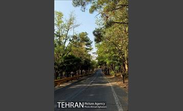 پارک جنگلی چیتگر 19