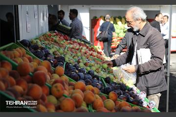 افتتاح ۲ بازار میوه و تره‌بار در تهران 13