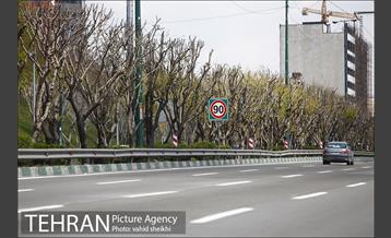 روز طبیعت متفاوت در شهر تهران 2 10