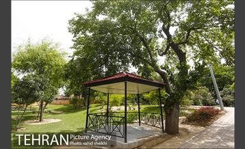 بوستان پلیس 4