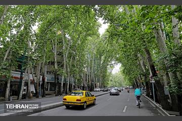 هوای بهاری تهران 24