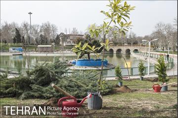 درختکاری و لانه گذاری کبوتر در بوستان بعثت 1