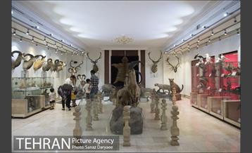 موزه طبیعت و حیات وحش ایران دارآباد‎ 7