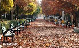 گذر پاییزی بوستان رازی 10