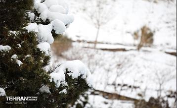 روز برفی در آبشار تهران 35