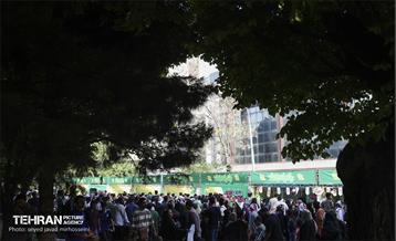 اجتماع بزرگ امام‌ رضایی‌ها - 3 31