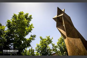 جان دوباره در درختستان 20