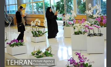 نمایشگاه بین المللی گل و گیاه 24