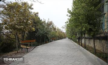 طبیعت پاییزی باغ راه فدک تهران 11