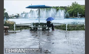 روز طبیعت بارانی در بوستان لاله 13