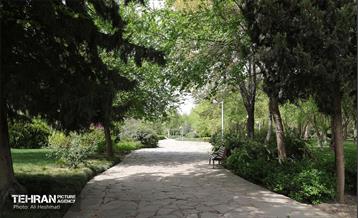 بوستان بانوان نرگس 17