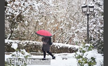 روز برفی تهران در بوستان ملت 22