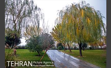 پاییز در بوستان المهدی(عج) 26