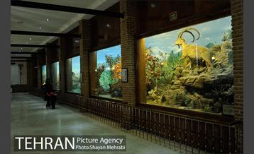 موزه حیات وحش هفت چنار 43