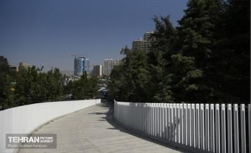 پل تندرستی 9