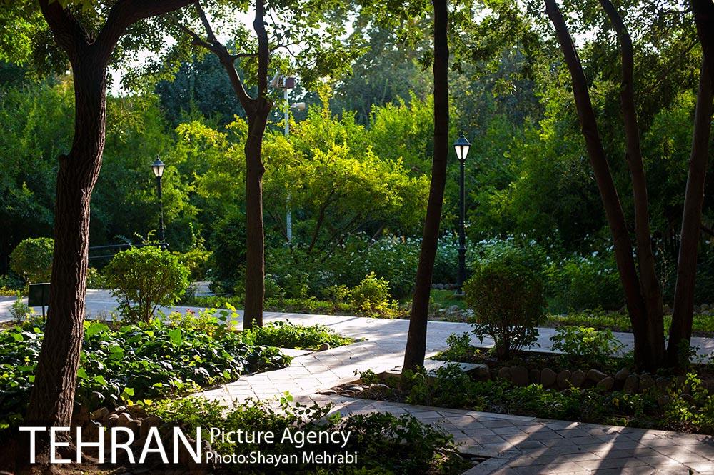 بوستان باغ ایرانی 4