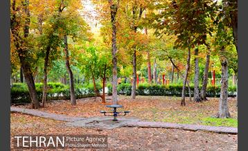 پاییز پارک شهر 2