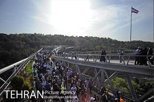 همایش پیاده روی خانوادگی کارکنان شهرداری 16