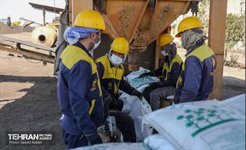 ۱۱ اردیبهشت؛ روز جهانی کار و کارگر 1