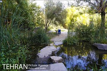 باغ گیاه شناسی ملی ایران  15