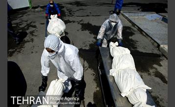 تطهیر و تدفین جانباختگان کرونایی در بهشت زهرا(س) 18